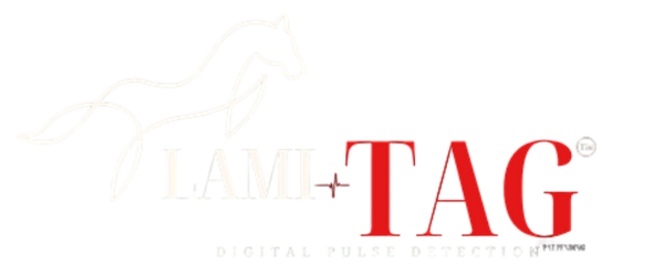 Lami-TAG