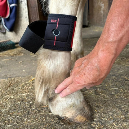 Lami-TAG